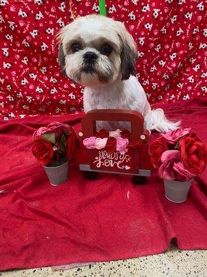 They took a cute Valentine's photo of Tiberius.