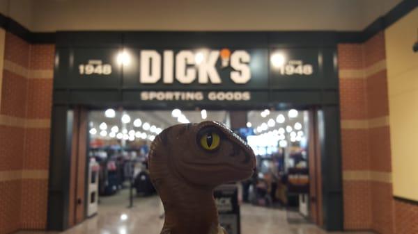 Bob the Raptor Says "This is Dick's... Mammals come here to get balls, bikes, and guns."