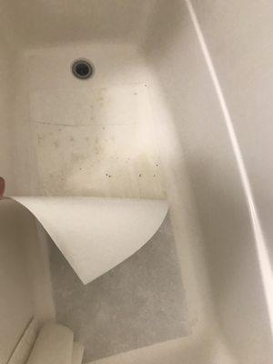 Dirty bathtub rug