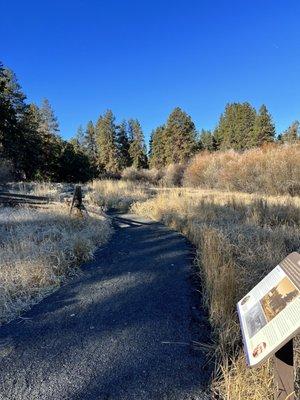 Camp Polk Meadow Preserve - interpretive trail