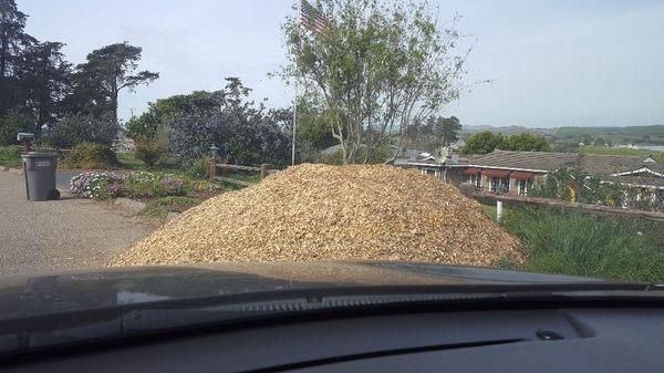 Nice looking wood chips and mulch for ground cover. 
$10 per yard.