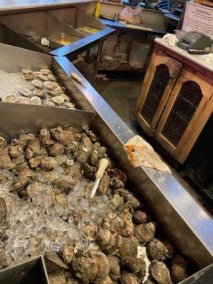 Oysters