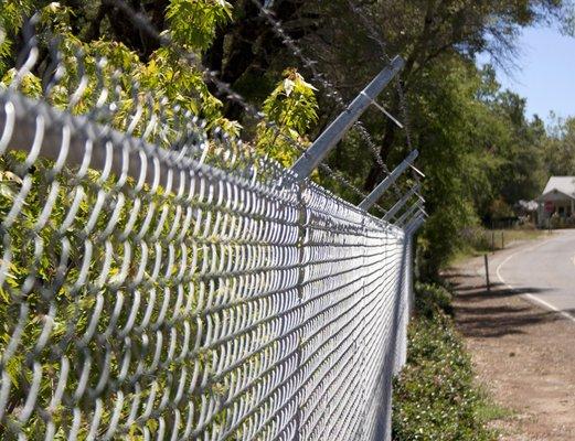 Fenced Grounds