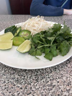 Pho toppings plate