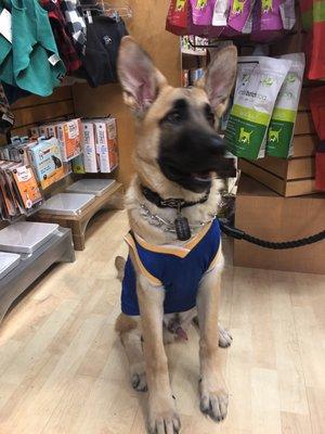 Trying on a warriors jersey because of mom