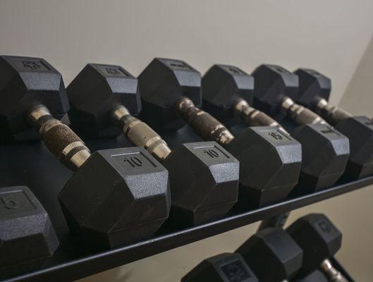 Free Weights in Fitness Center