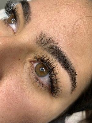 Classic Lash Extensions