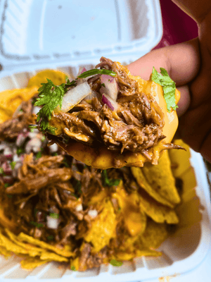 POV: You're about to bite into the best nacho combination in the whole world - BIRRIA NACHOS