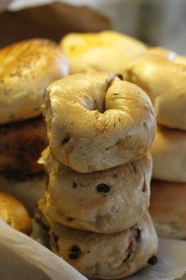 Cinnamon Raisin Bagels