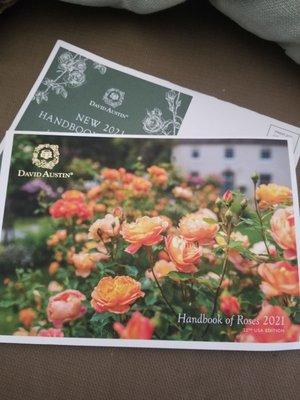 You know when the David Austin Roses catalog arrives I'm in for beautiful things.