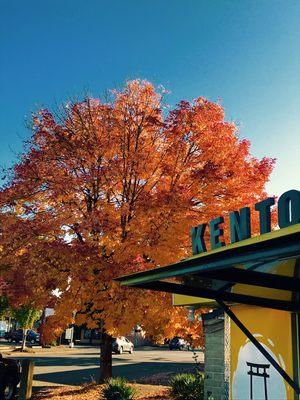 Kento Hibachi On Wheels on a beautiful day in fall ..