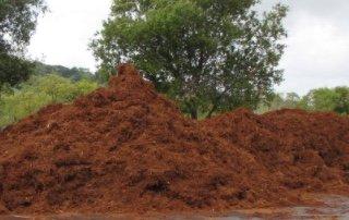 Mulch and Bark is not only beautiful, it holds in moisture