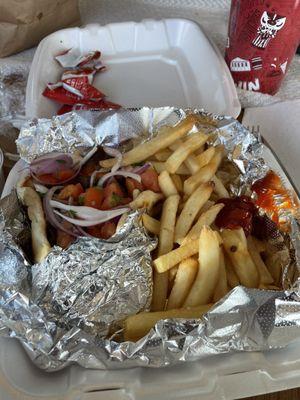 Gyro Sandwich & French Fries