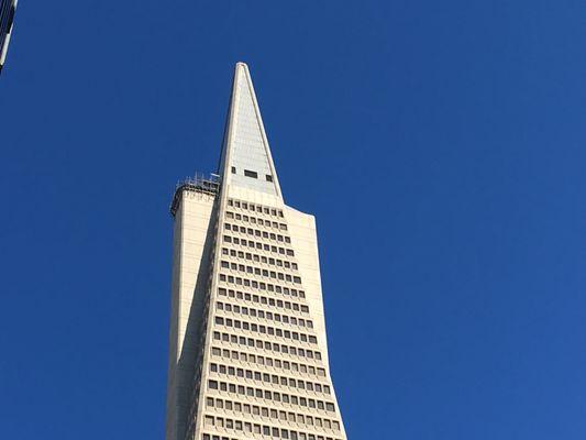 View from my office. The Transamerica Pyramid has a "shoulder issue."