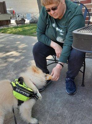 There's an outdoor patio  where a person can enjoy an ice cream, adult beverage, or a dog can enjoy a puppy cone.