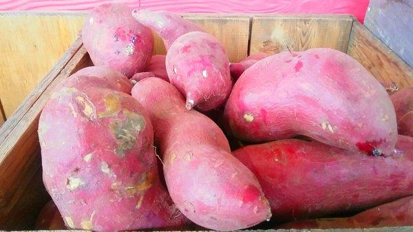 Satsumaimo (Japanese Sweet Potato)!