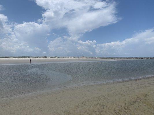 Hunting for sharks' teeth and sand dollars near a sandbar.