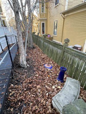 Somerville Landscaping