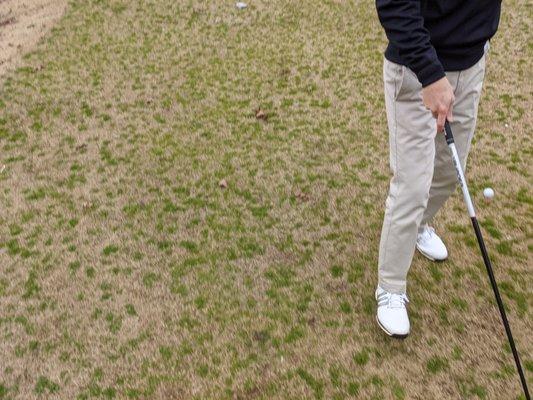 Grass on 13th tee box. Not good.