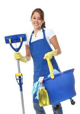 Diamond Cleaning Services