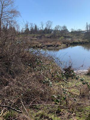 One of several ponds.