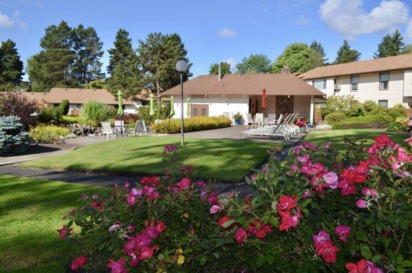 Condominium Courtyard