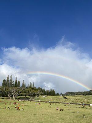 Full double rainbow Xmas Eve 2021