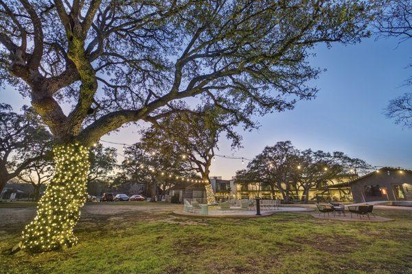 Lighting up the Lawn for outdoor seating, also available as event space.