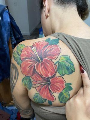 Hibiscus