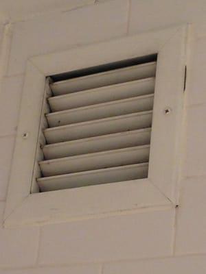 We also clean your vent! You have to breath clean air!! Not dusty air.