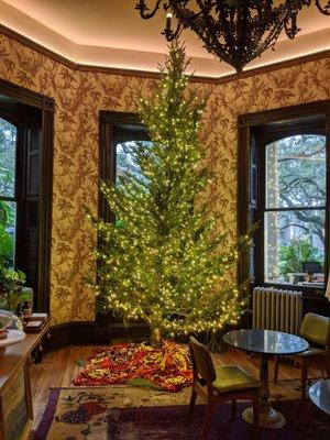 Christmas tree in coffee room