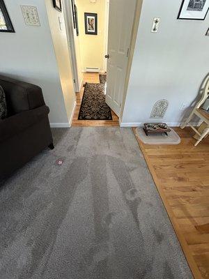 Looking from the armchair in the living room into the hallway