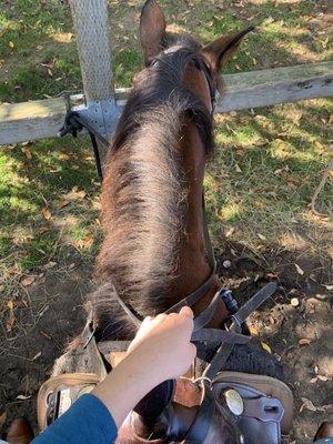 Before our ride. We had our stirrups adjusted and were told how to hold our reins.