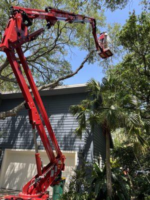 Mark Michaels Tree Service