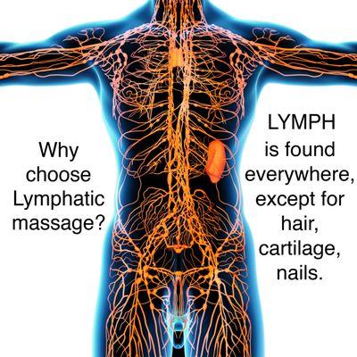 In case you were wondering why lymph is kind of important.