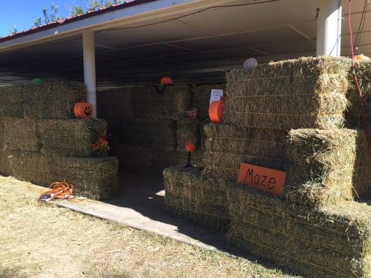 6th Annual PDOP Pumpkin Days @ Ian Deutch Park 10/24/15