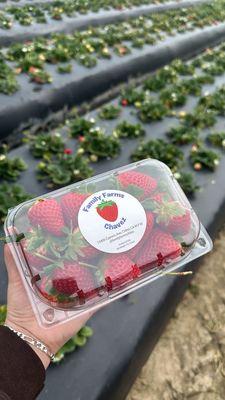 Strawberry box