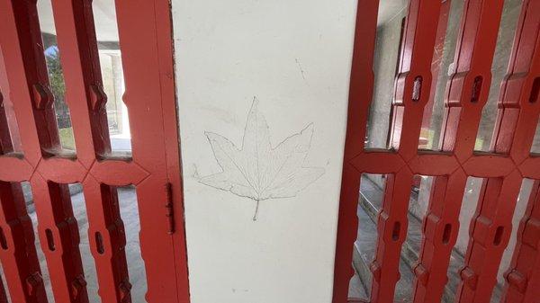 Leafs imprinted into stucco