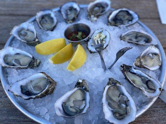 Dozen oysters