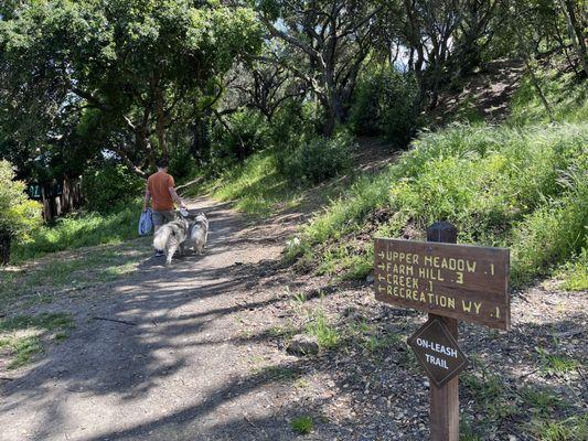 Starting out our mini hike