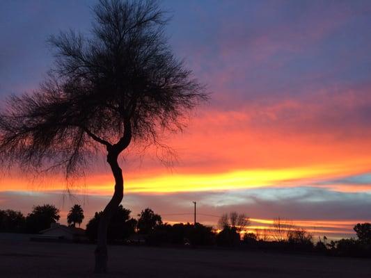 Arizona Canal sunset view. Amazing!!