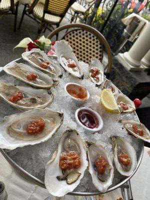 New England Oysters (each)