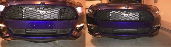 Performance Blue Mustang, before and after BumperPlugs