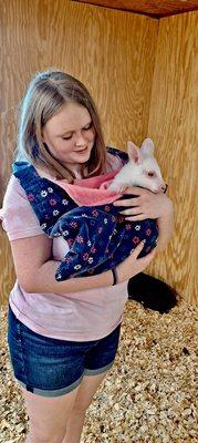 Avalanche, the baby albino wallaby