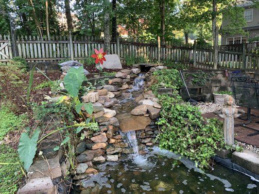 Alabama Aquarium & Pond Services