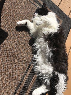 Navia - supervised sunbathing on deck