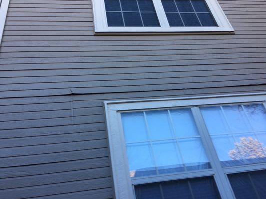 Siding on my building . Damaged siding painted over summer before last.