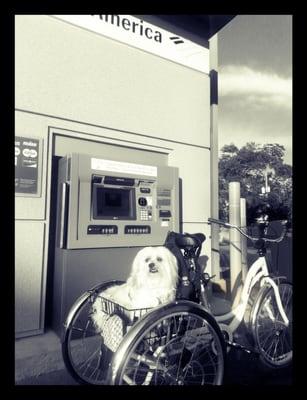 Quick service  at BofA in East Atlanta Village is via their drive-thru. Every time.