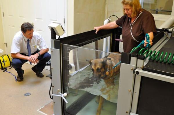 Underwater Treadmill therapy at CARE helps patients rehab quicker and prevent future problems.