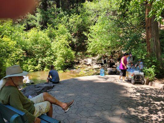 Headwaters of Sacramento River. To the right, fresh water comes out of the ground.